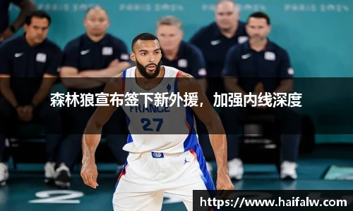 森林狼宣布签下新外援，加强内线深度